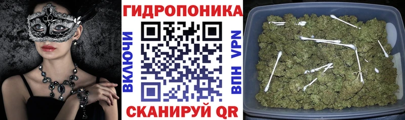 купить наркотики сайты  Гаврилов-Ям  Каннабис OG Kush 